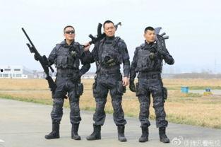 电视剧霹雳火全集在线观看,热血消防员英勇事迹全景呈现  第2张